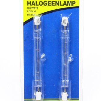 Halogeenlamp 300 Watt set 2 delig
