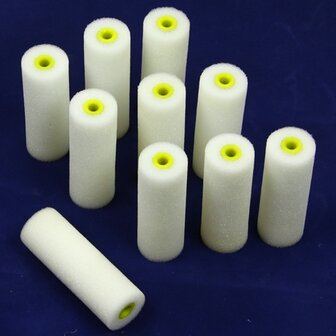 Rollers 10 cm set 10 stuks 