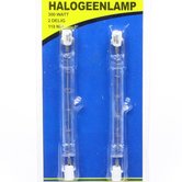 Halogeenlamp-300-Watt-set-2-delig
